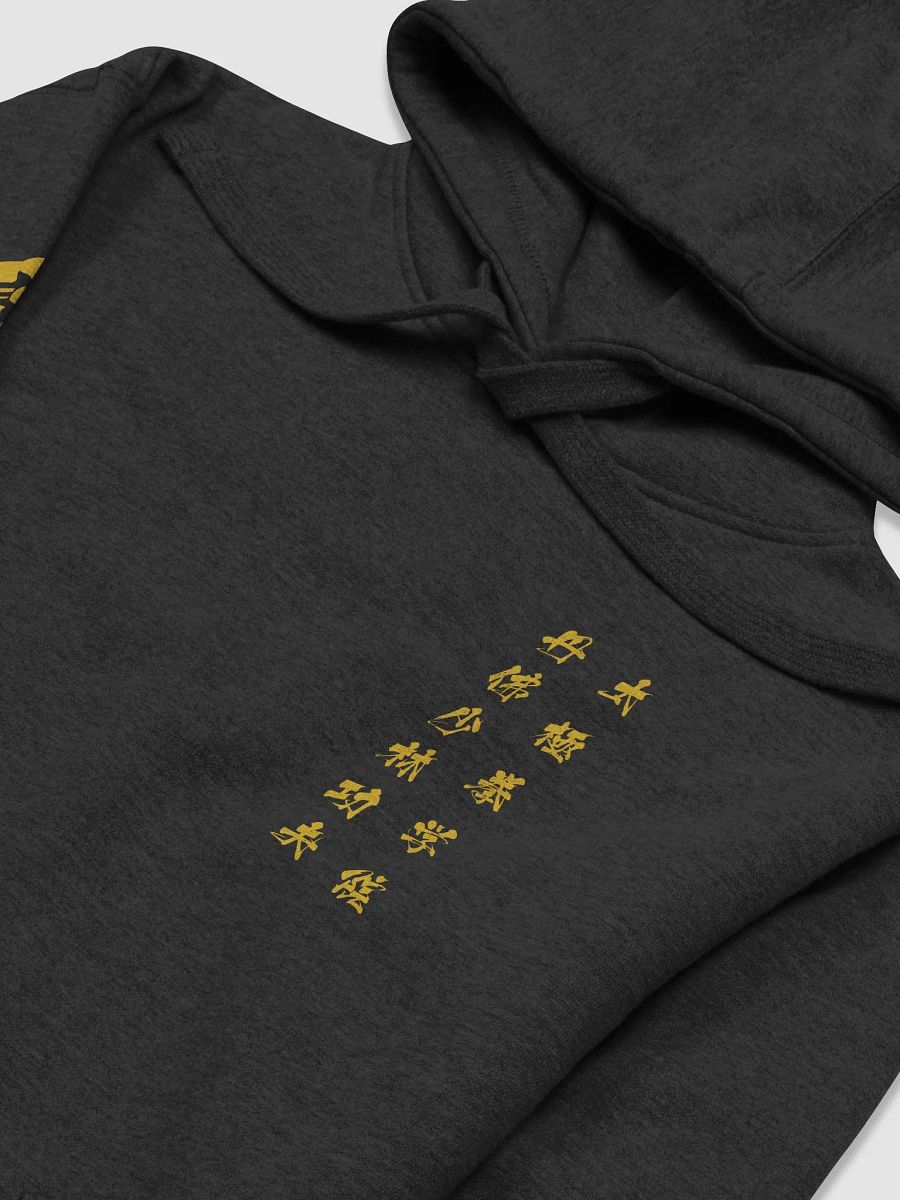 DSTJI Hoodie product image (3)
