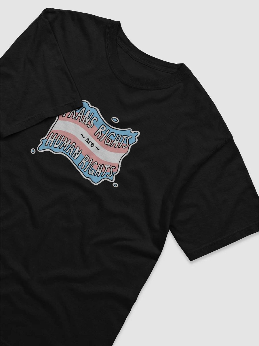 Trans Rights Shirt product image (14)