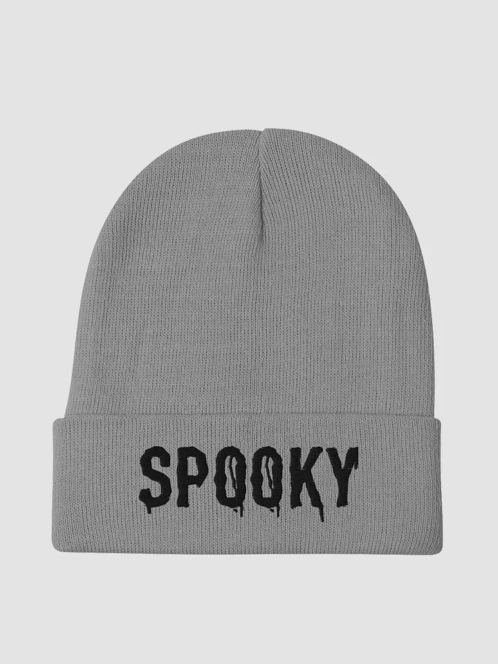 SP00KY Beanie Light product image (1)