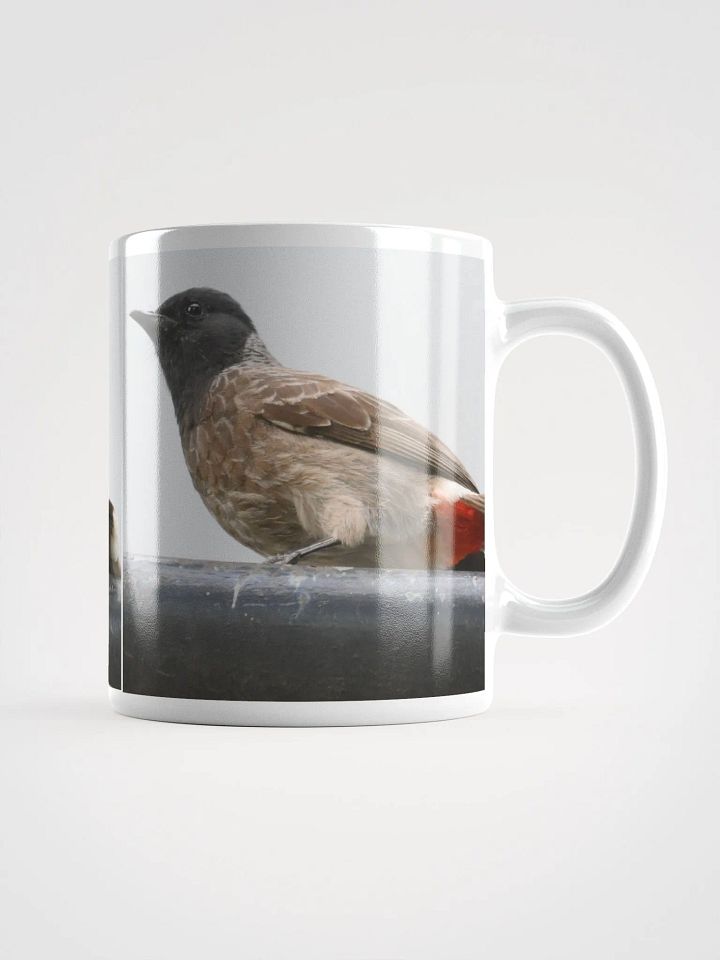 IUCAA BIRDS WHITE MUG product image (1)