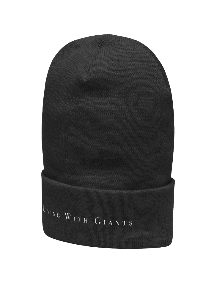 Cuffed Beanie product image (2)
