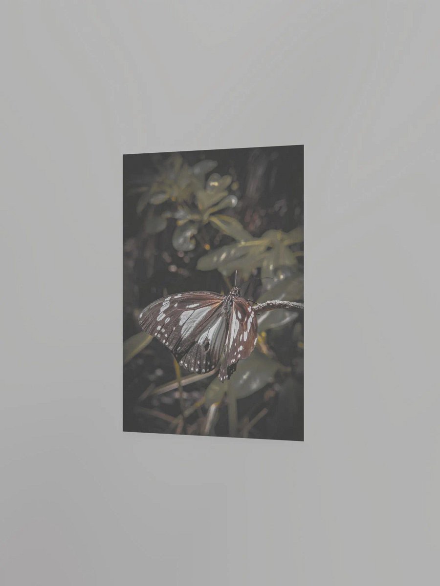 Butterfly product image (12)