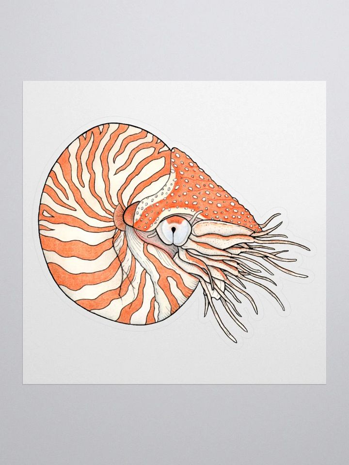 Ancient Mollusk sticker product image (1)