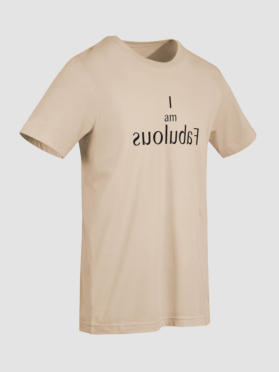 Mirror Message Tee – “I Am Fabulous” in Reverse (Read it in the Mirror) product image (69)