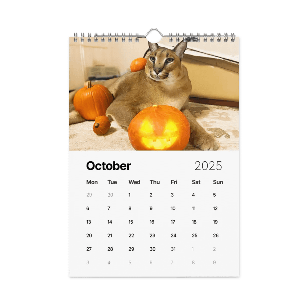 Gosha’s 2025 Wall Calendar (Caracalendar) product image (12)