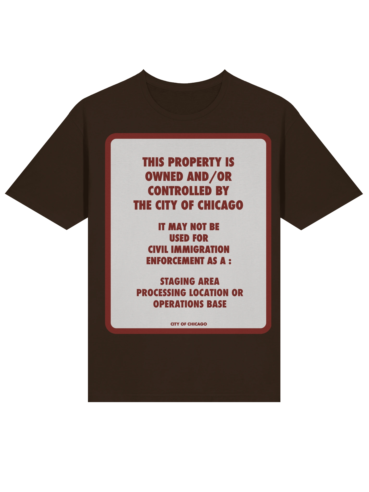 The Chicago No Ice T Shirt product image (3)