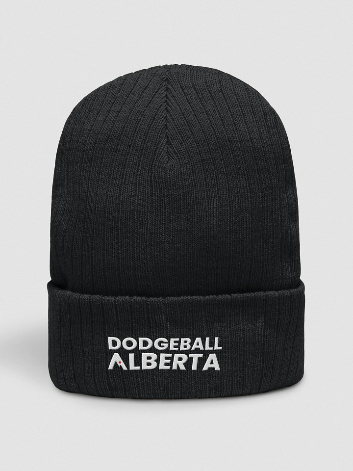 Alberta Dodgeball Touque product image (1)