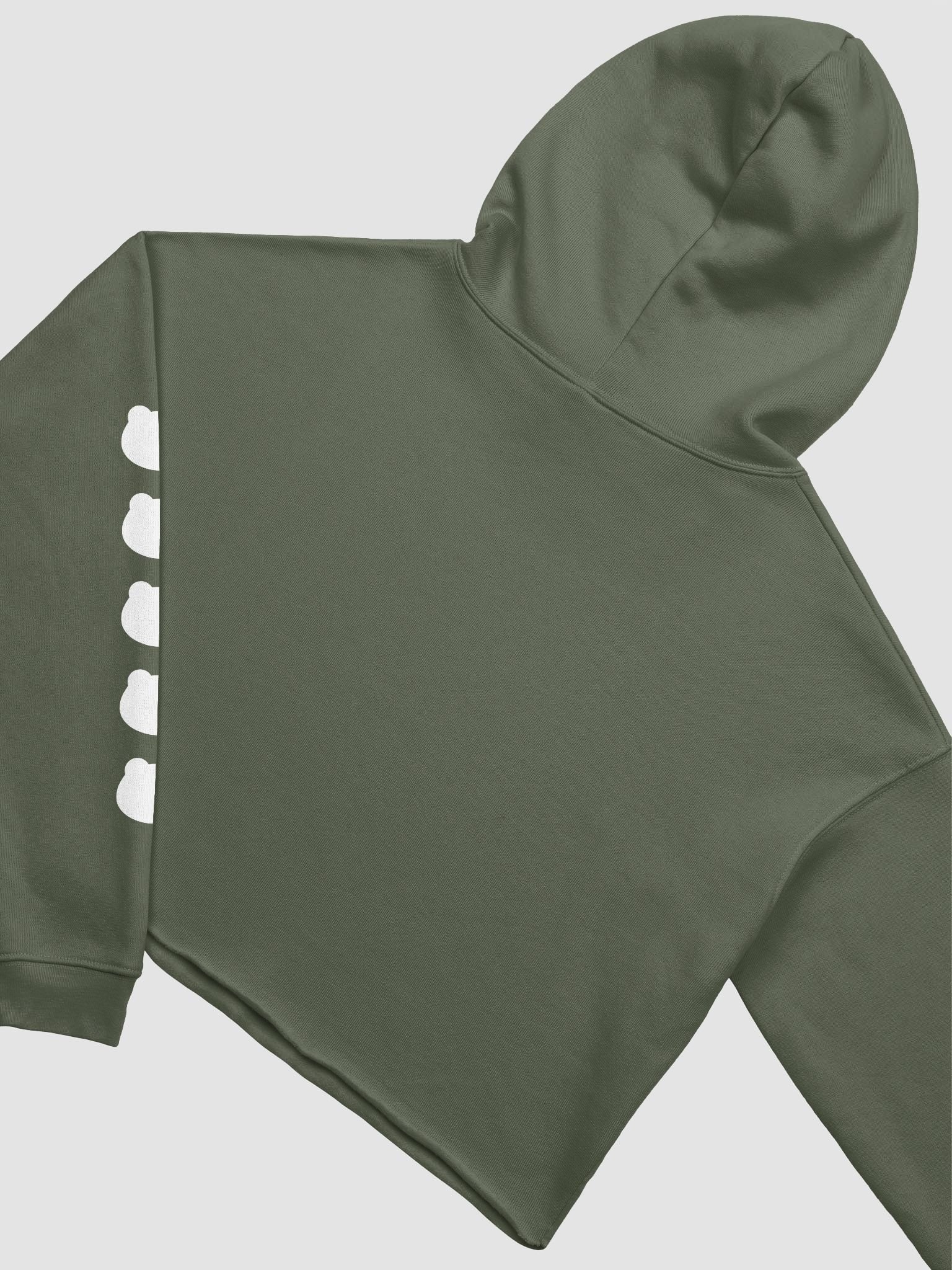 Fronk Cropped Hoodie product image (4)