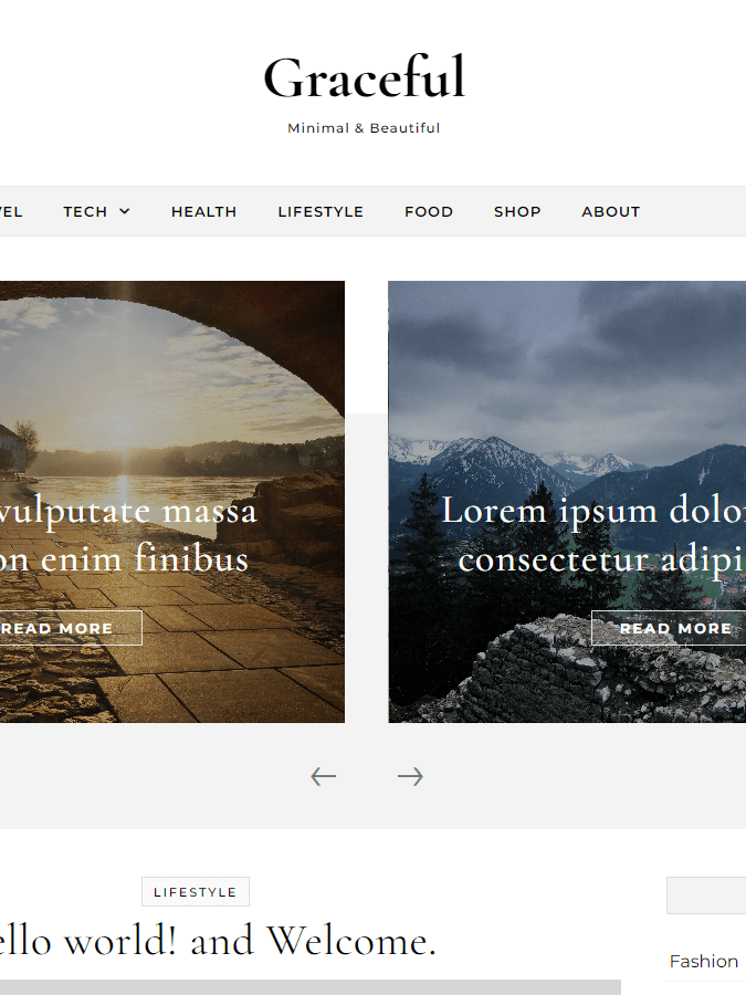 Graceful Pro Theme product image (1)