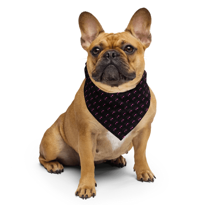 Hybrid Spyder Bandana product image (2)