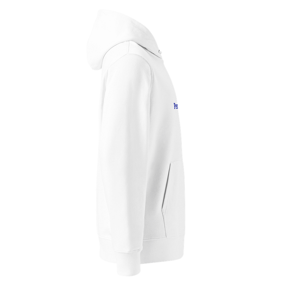 Feathered Pencil Warrior Organic Hoodie product image (4)
