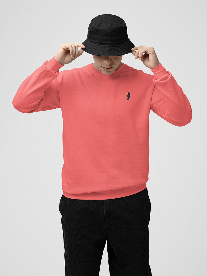 GUILLOVELO TOUCAN LINE DYED SWEATSHIRT product image (1)