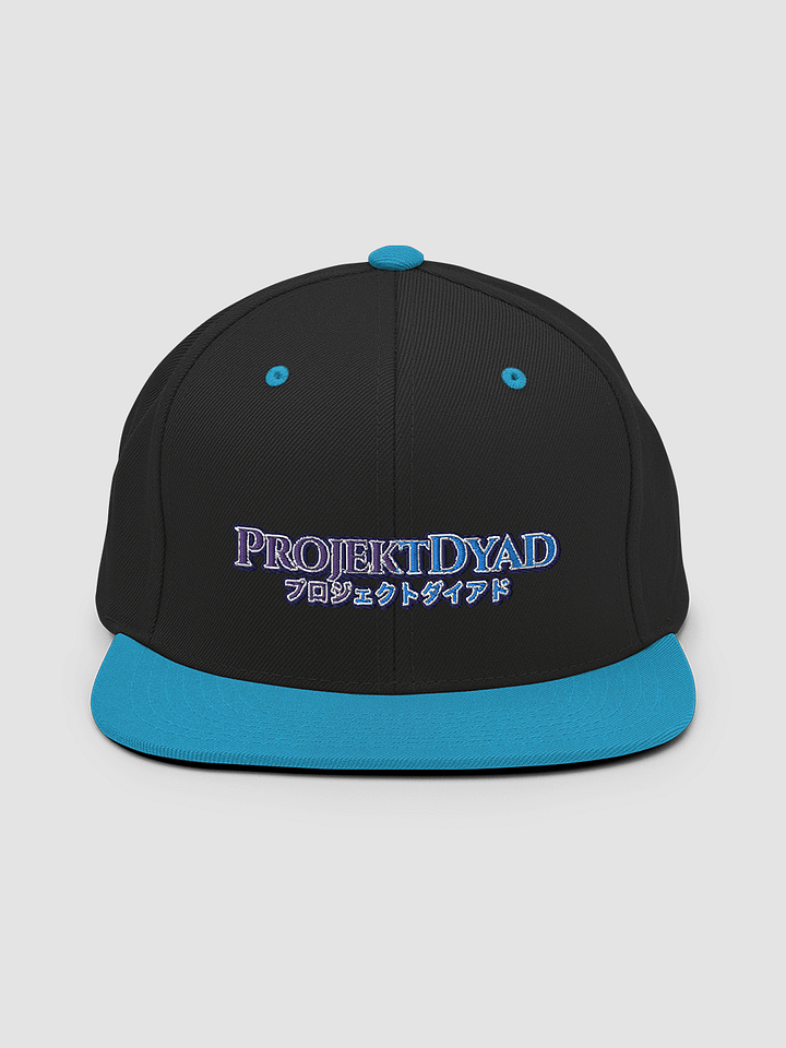 Projektdyad Snapback Hat product image (2)