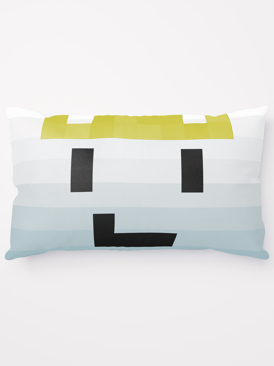 Coussin VLC product image (1)