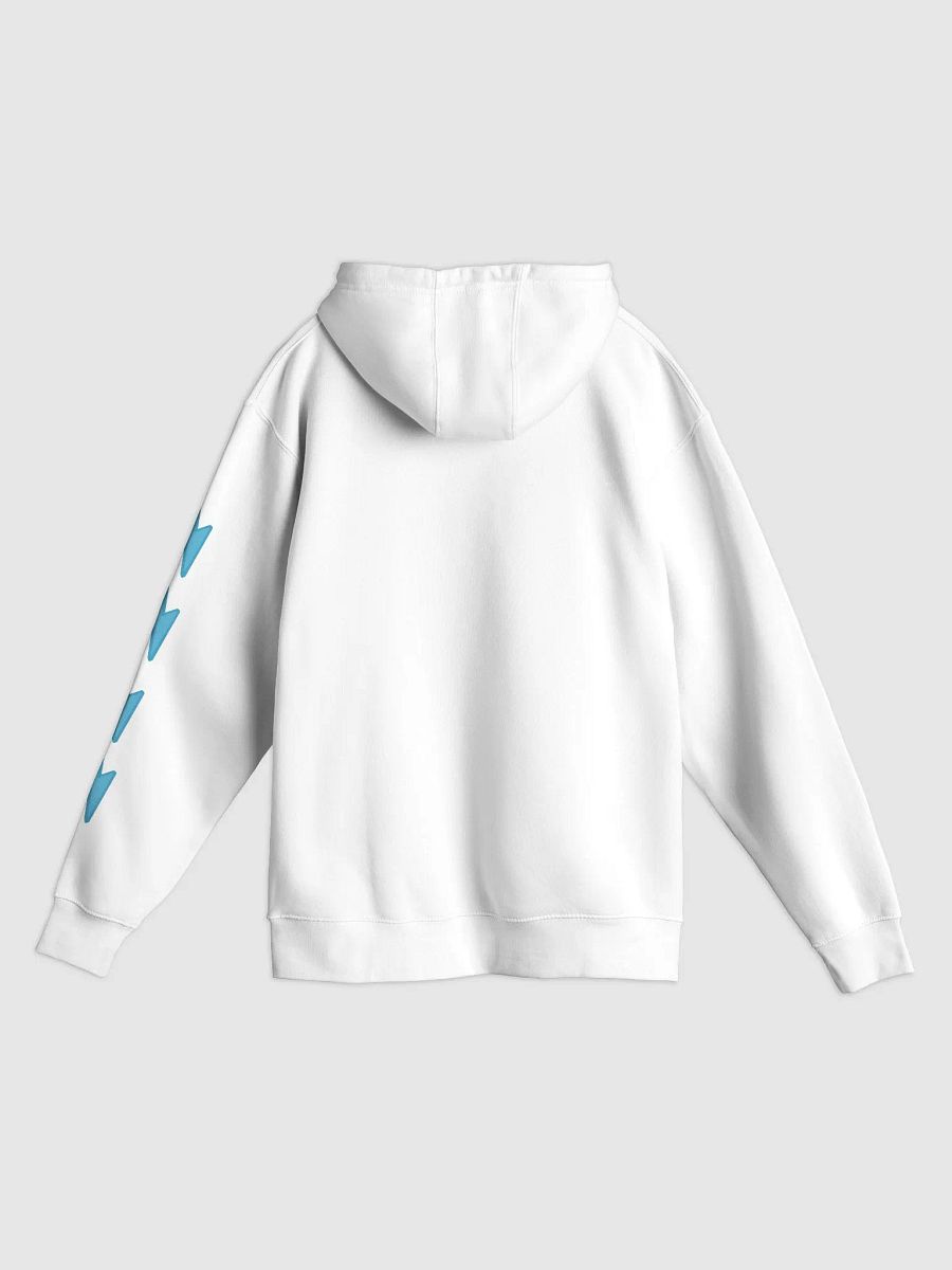 Hydration For Motivation Hoodie! product image (2)