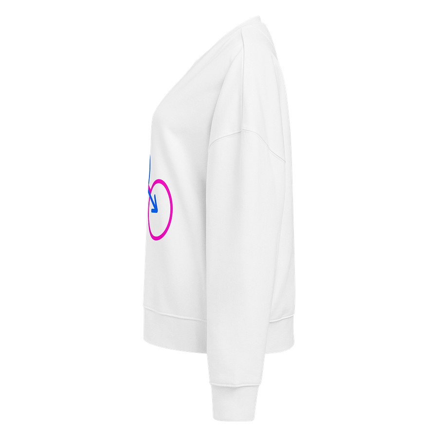 Two Genders Only Organic Sweatshirt product image (3)
