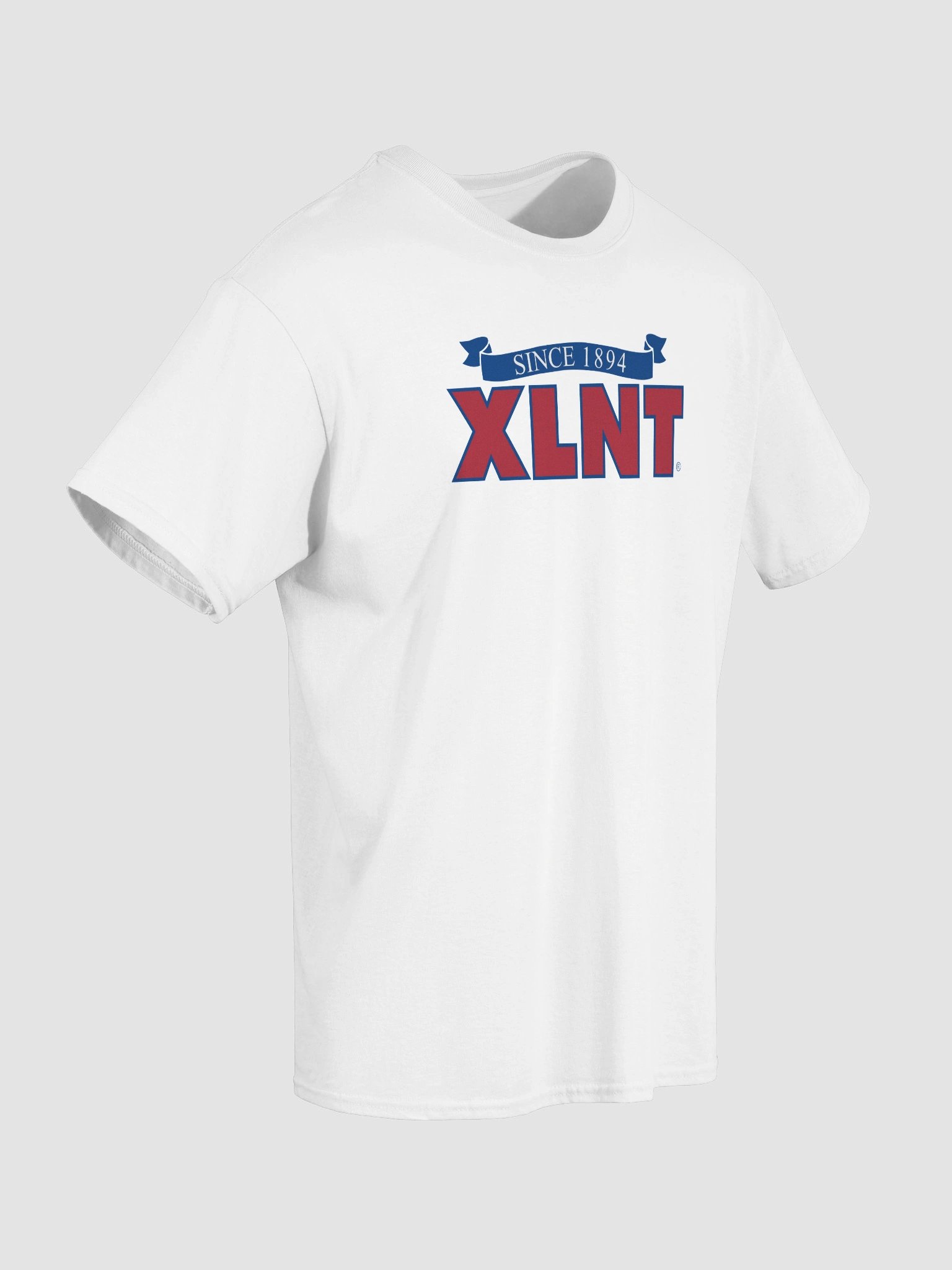 XLNT Foods Logo Tee product image (14)