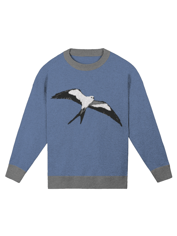 Swallow-tailed Kite Relaxed Jacquard Sweater – Knit Pullover with Soaring Bird Design product image (4)