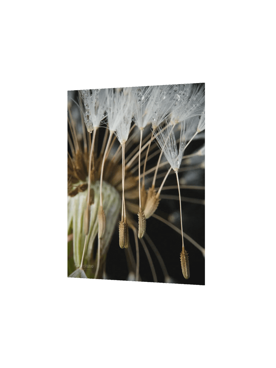 Rapture - Poster product image (4)