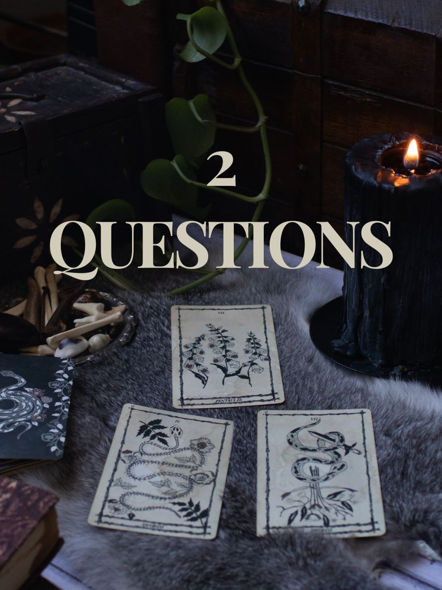 2 Question Reading product image (1)