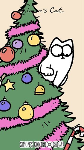 Have you put up the Christmas Tree yet? 🎄😺