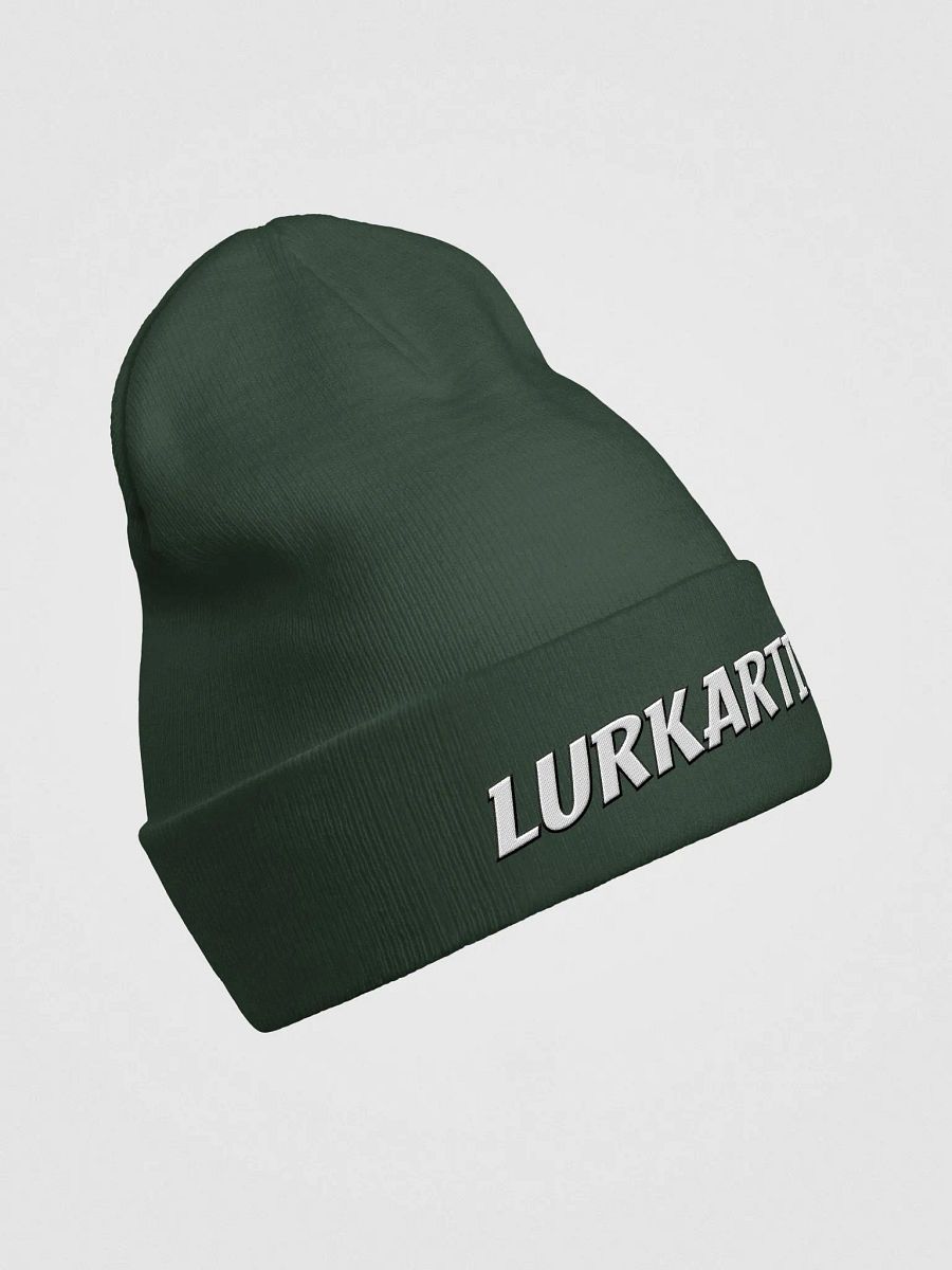 Lurk Artist Fitted Beanie product image (10)
