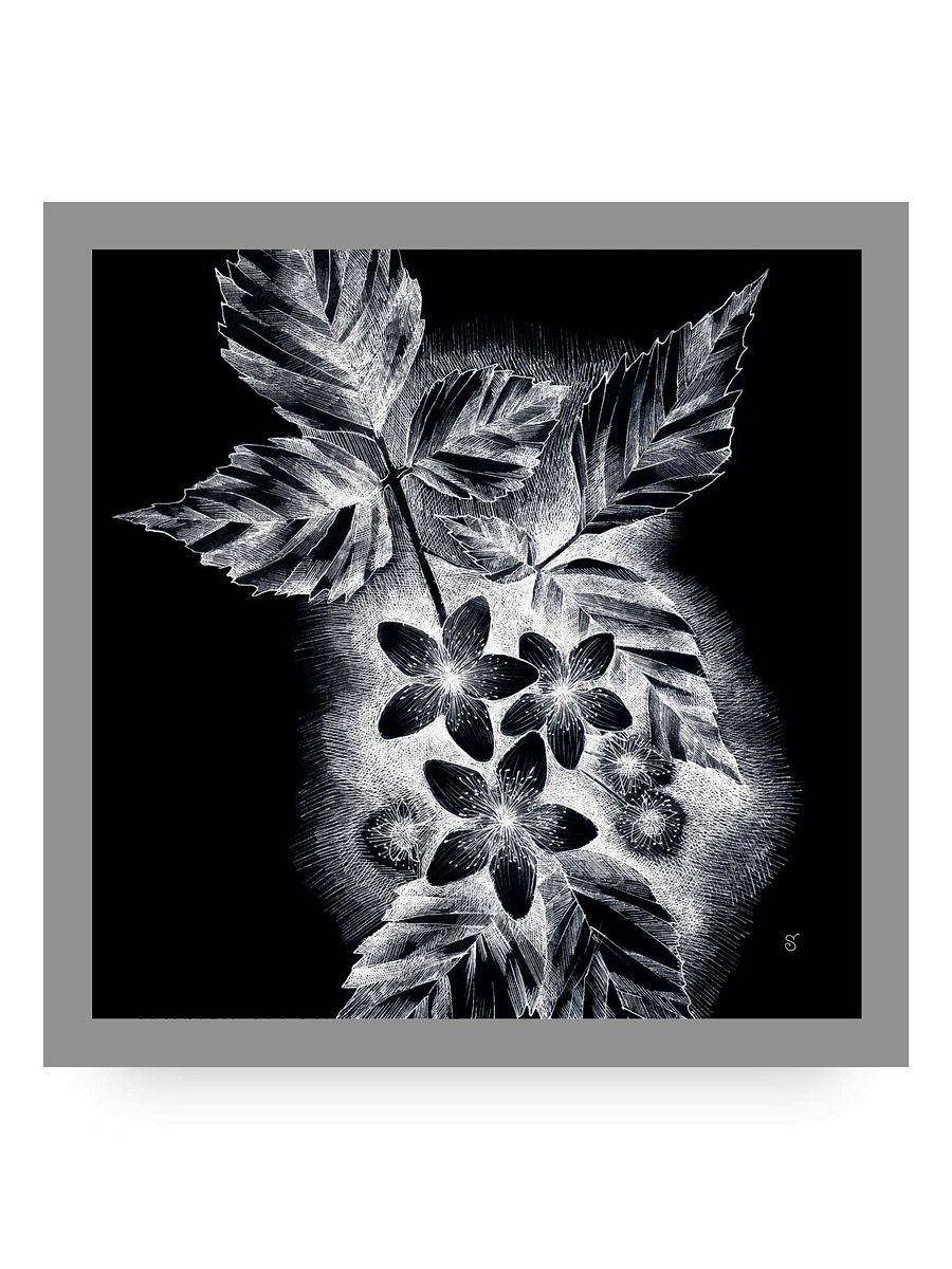 Blank Canvas Collection - JDark asmine product image (62)