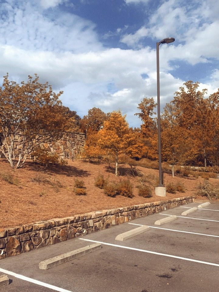 A&M MF's NFT product image (1)