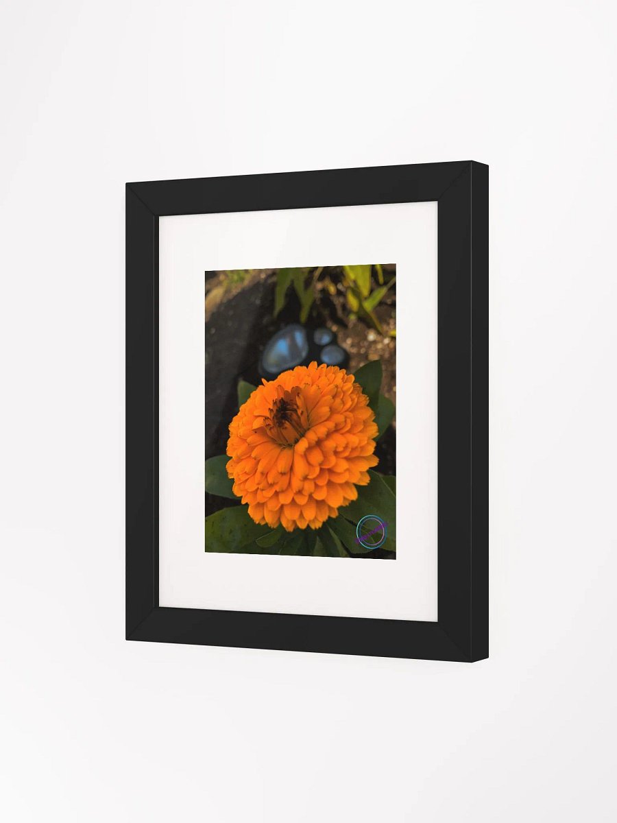 Orange in bloom product image (3)