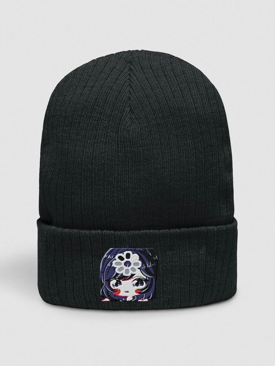 Buffering Ark Ribbed Knit Beanie product image (1)