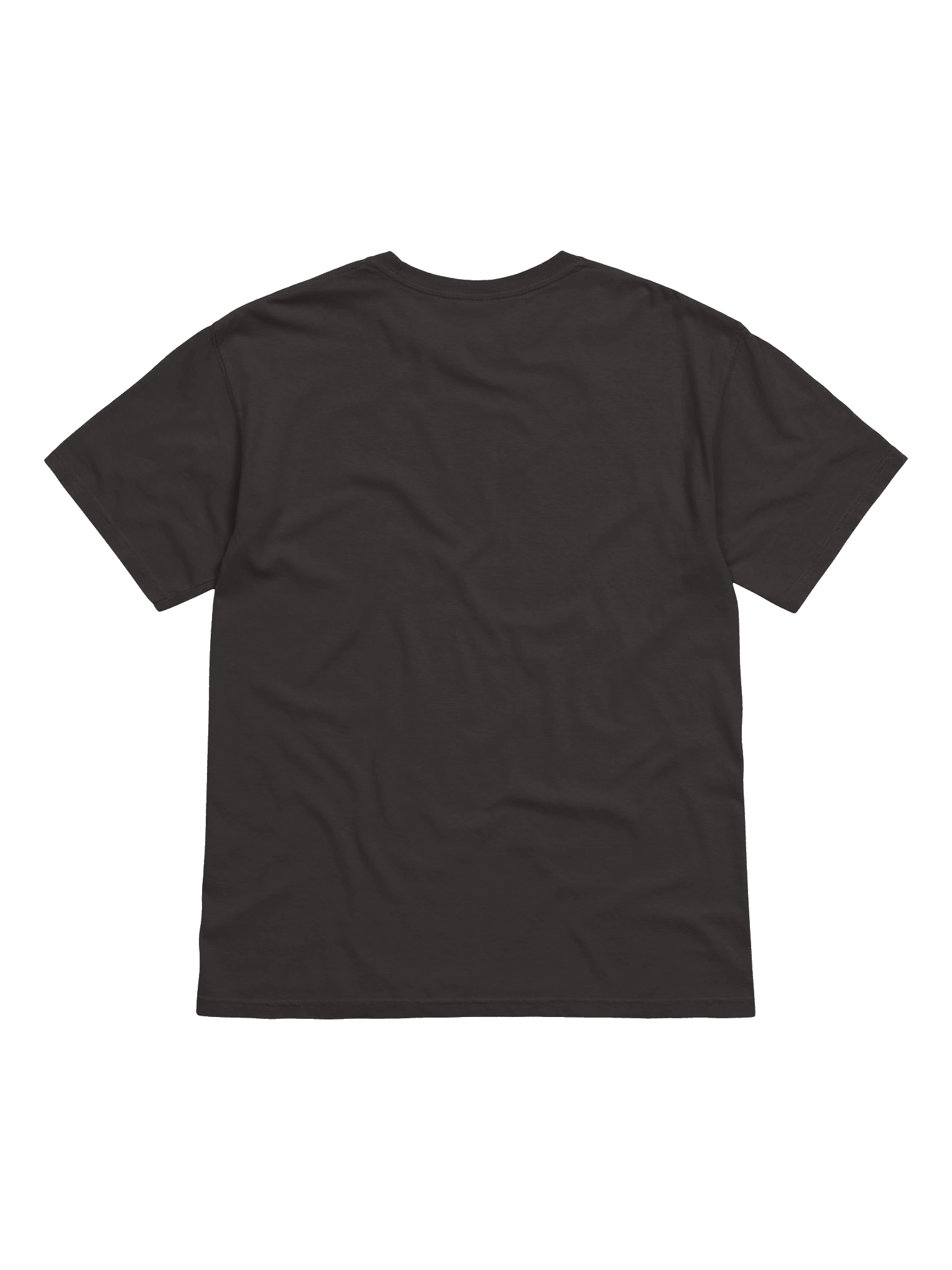 The AI Fix: Would you trust a pigeon? T-Shirt product image (2)