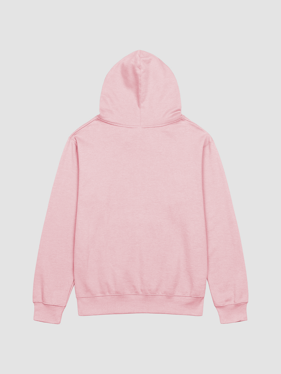 I HOPE BOTH WRESTLERS HAVE FUN - HOODIE product image (2)