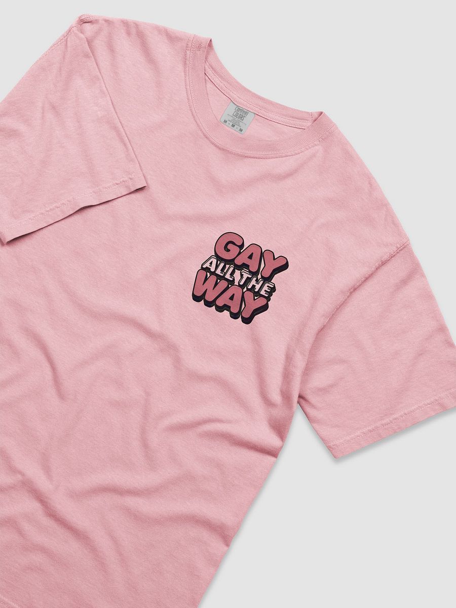 Gay All The Way T-Shirt product image (13)
