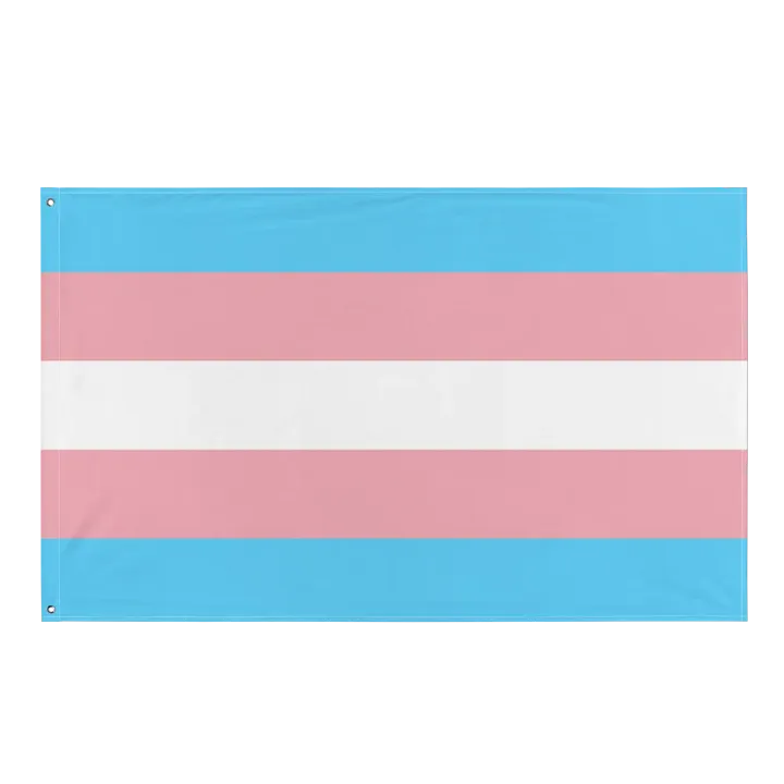 Trans Pride Flag product image (1)