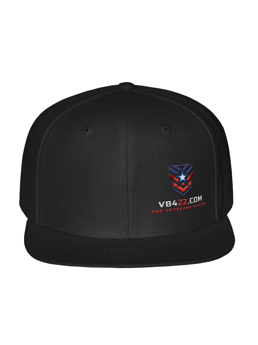 VB422 SNAPBACK product image (1)