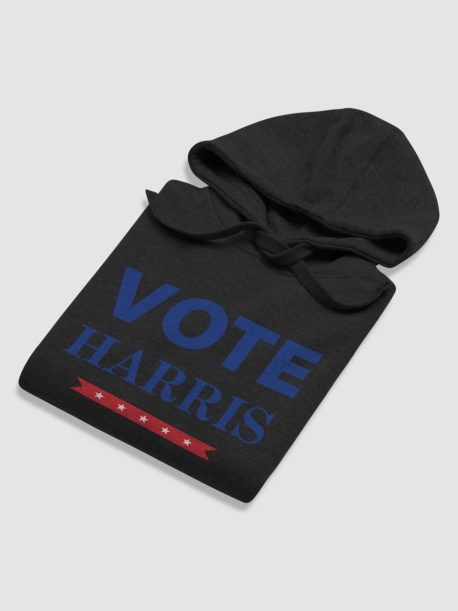 Vote Harris Cotton Comfort Hoodie product image (62)