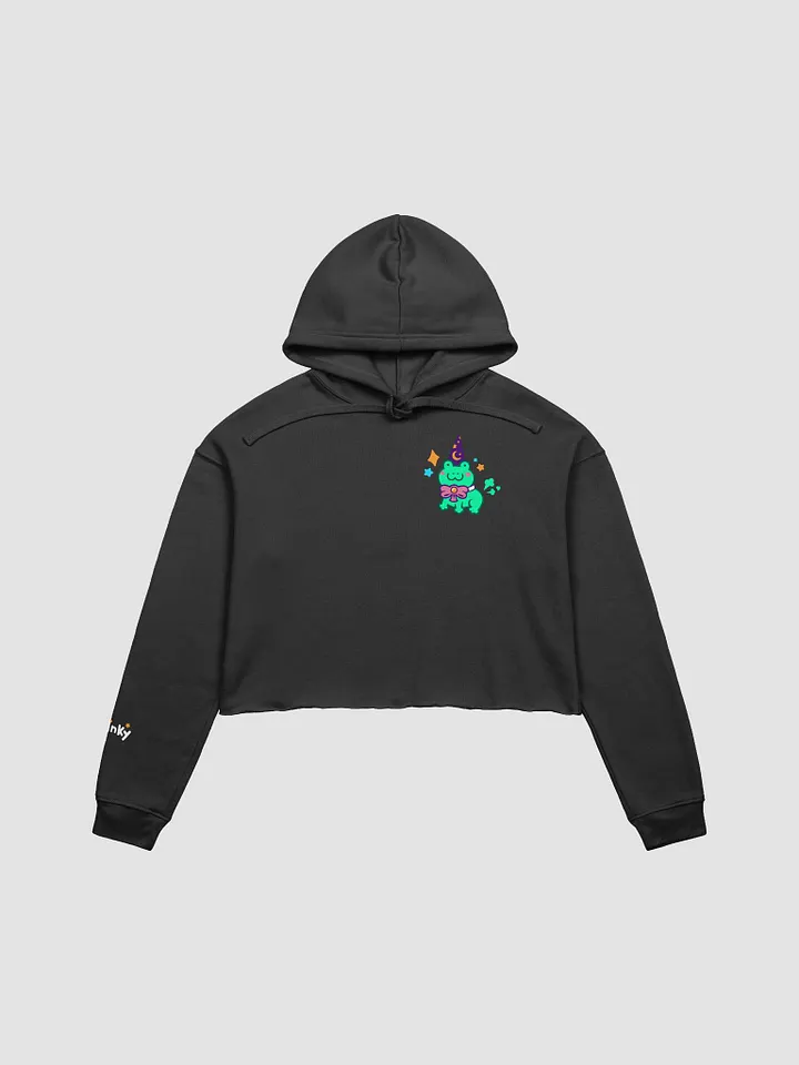Wizard Frog Cropped Hoodie product image (4)