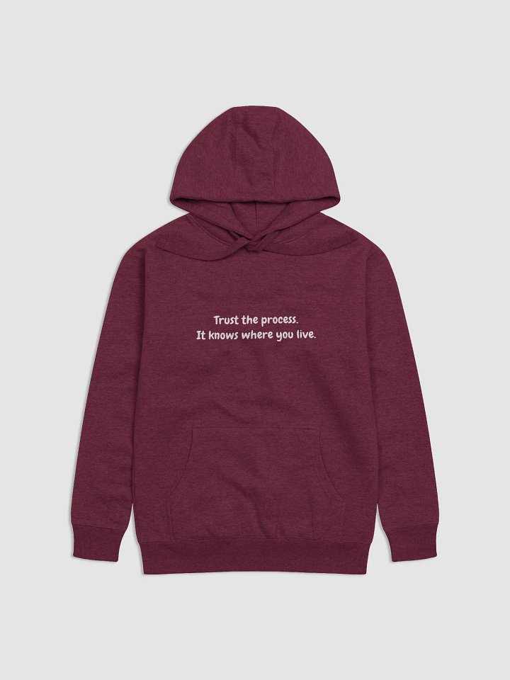 Trust the process hoodie product image (1)
