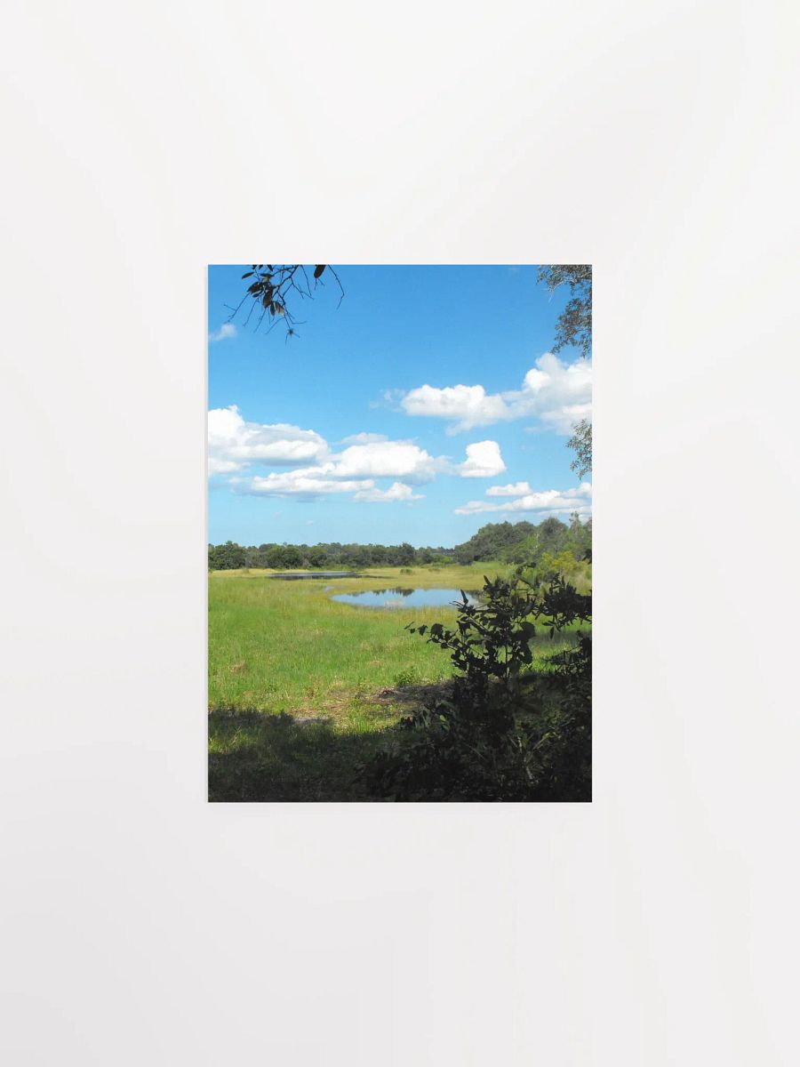 Florida Pond product image (5)