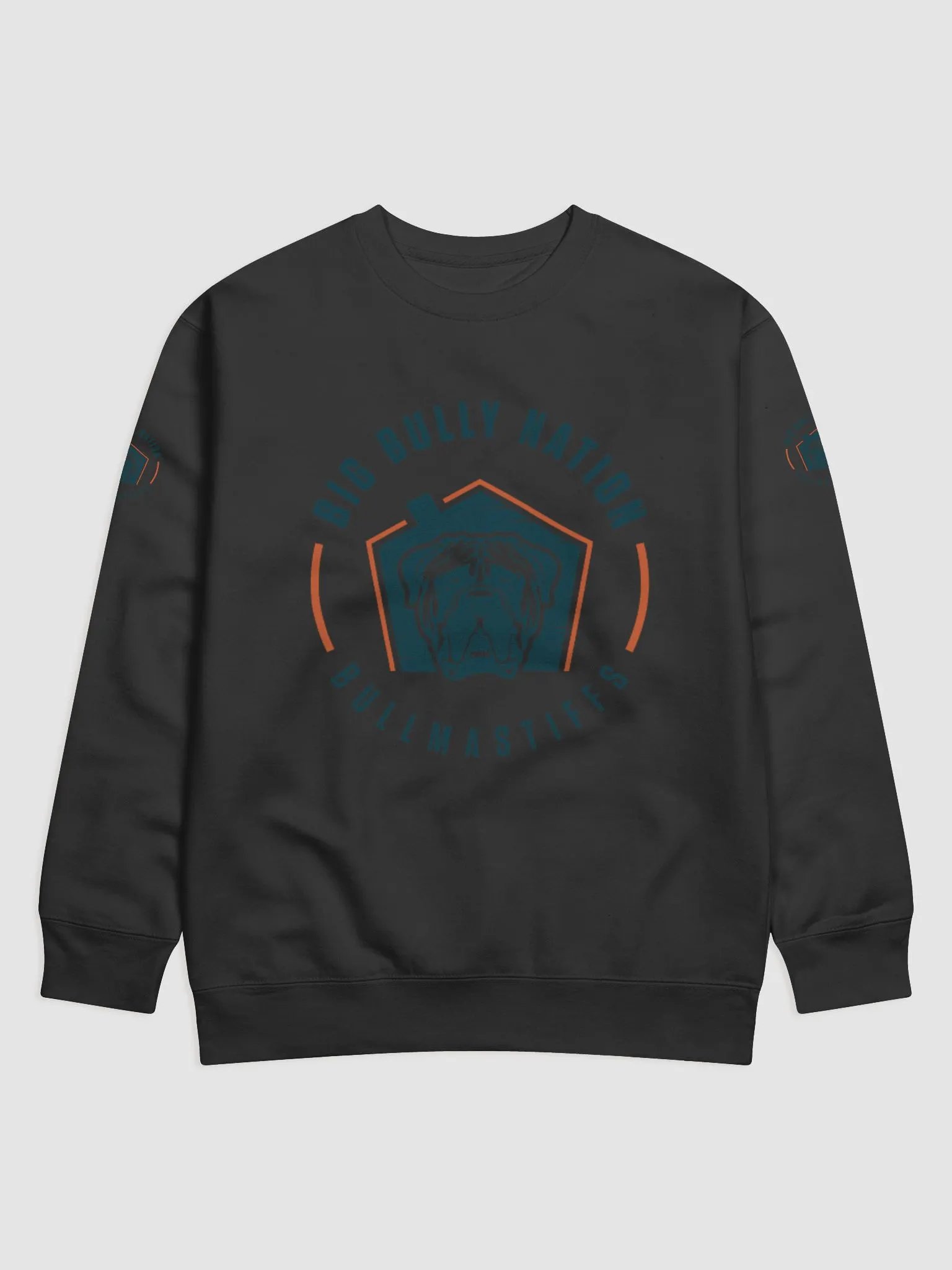 BBN Logo 2 Premium Sweatshirt product image (3)