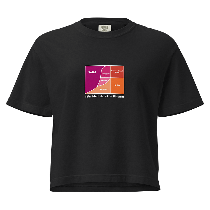 It's Not Just a Phase- Lesbian Shirt product image (1)