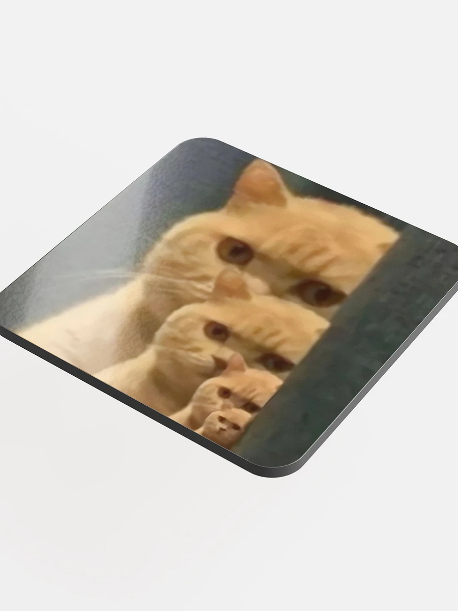 Glossed Cork Coaster: Meme Cats product image (4)