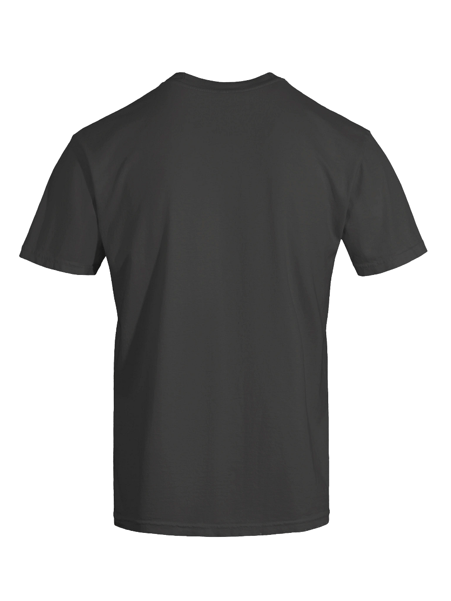 Marry Me, Not Really Heavyweight T-Shirt product image (77)