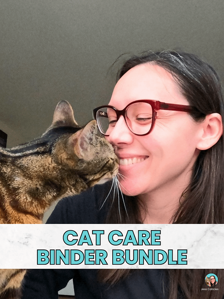 Cat Care Binder Bundle product image (1)