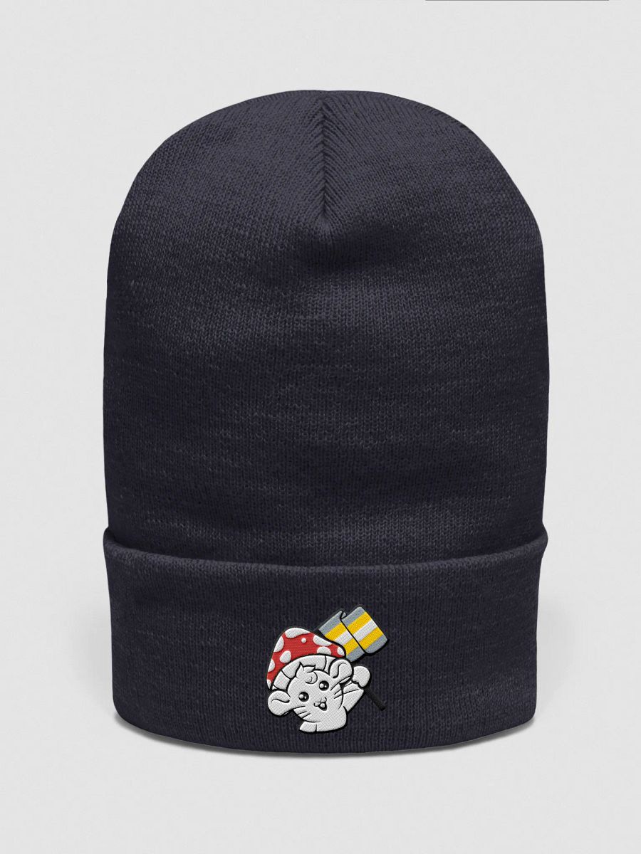Demigender beanie product image (1)