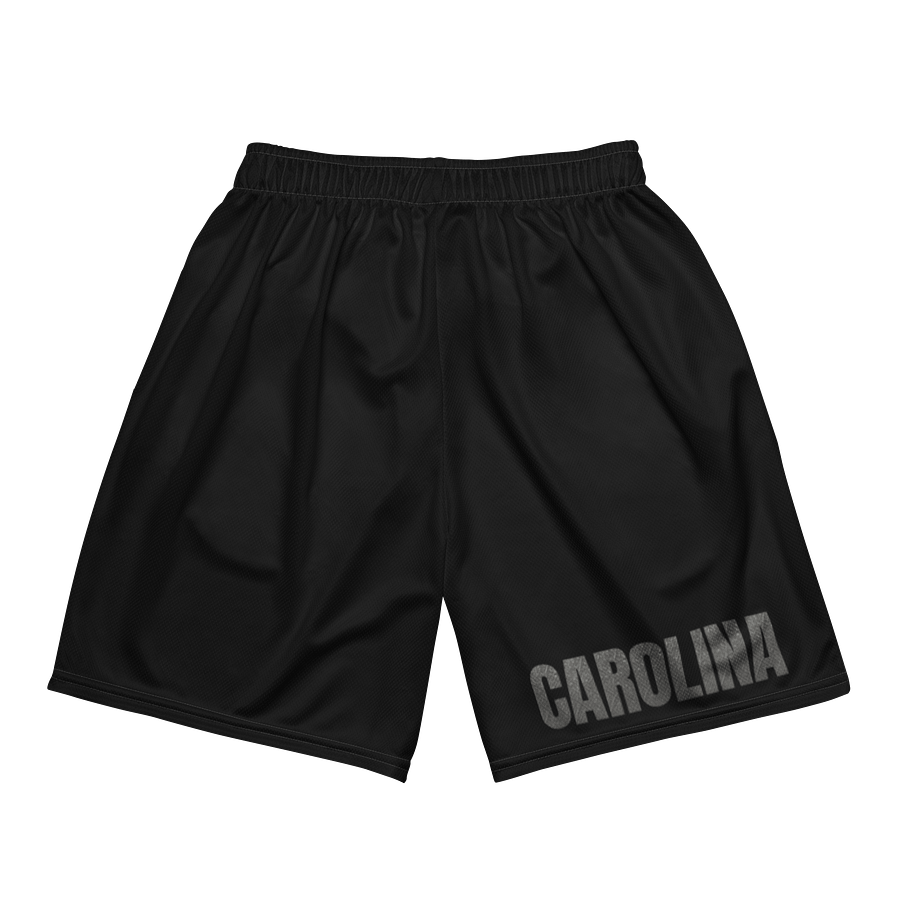 SATELLITE SOCIETY Skull Mesh Shorts product image (6)