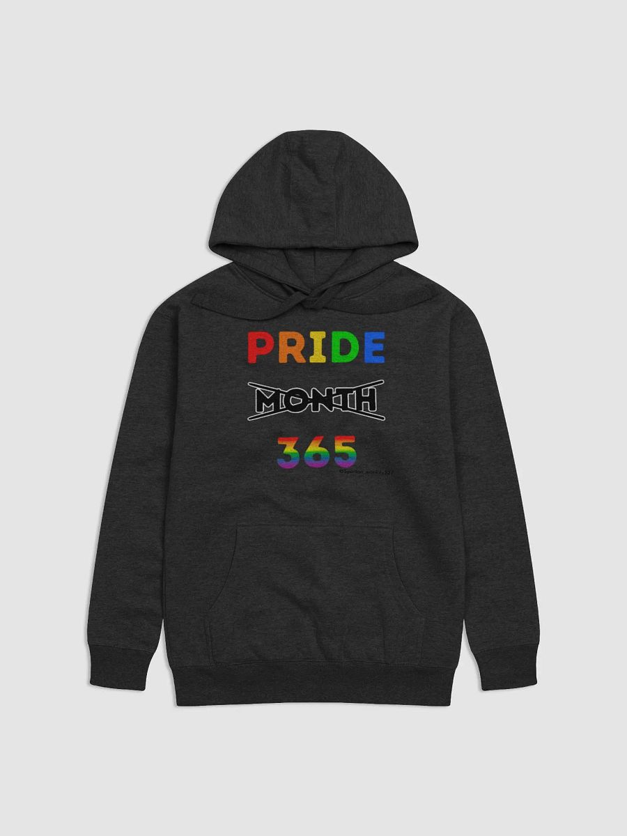 Pride 365 Hoodie product image (2)
