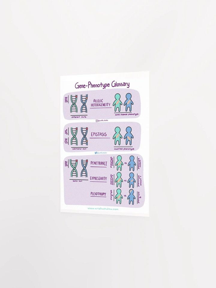 Gene-Phenotype Poster product image (2)