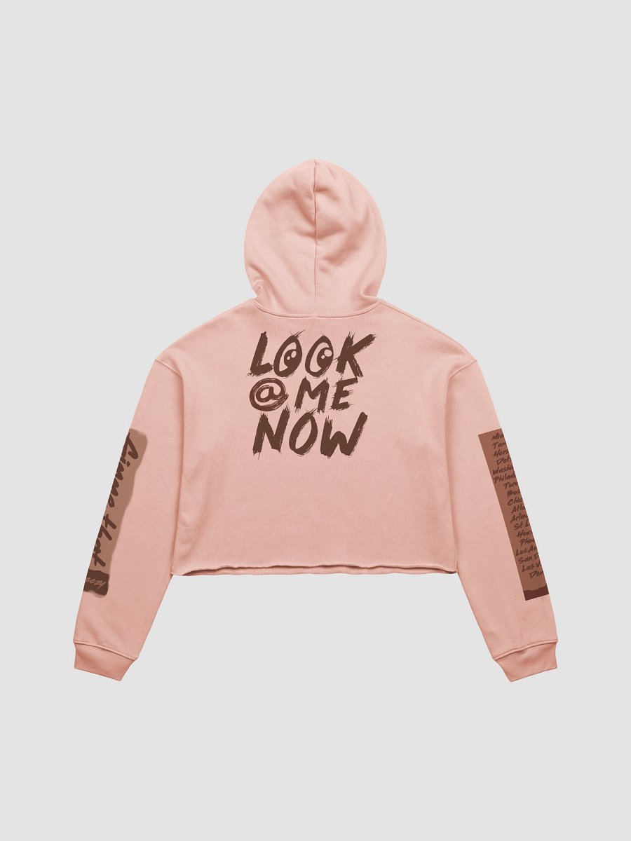 Breezy Fan Crop Hoodie product image (2)