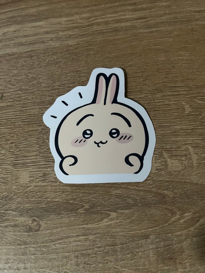 Usagi Sticker product image (1)